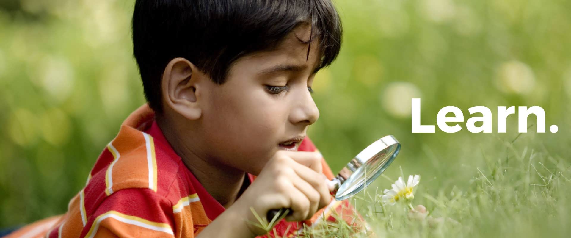 Child exploring nature - Learn.